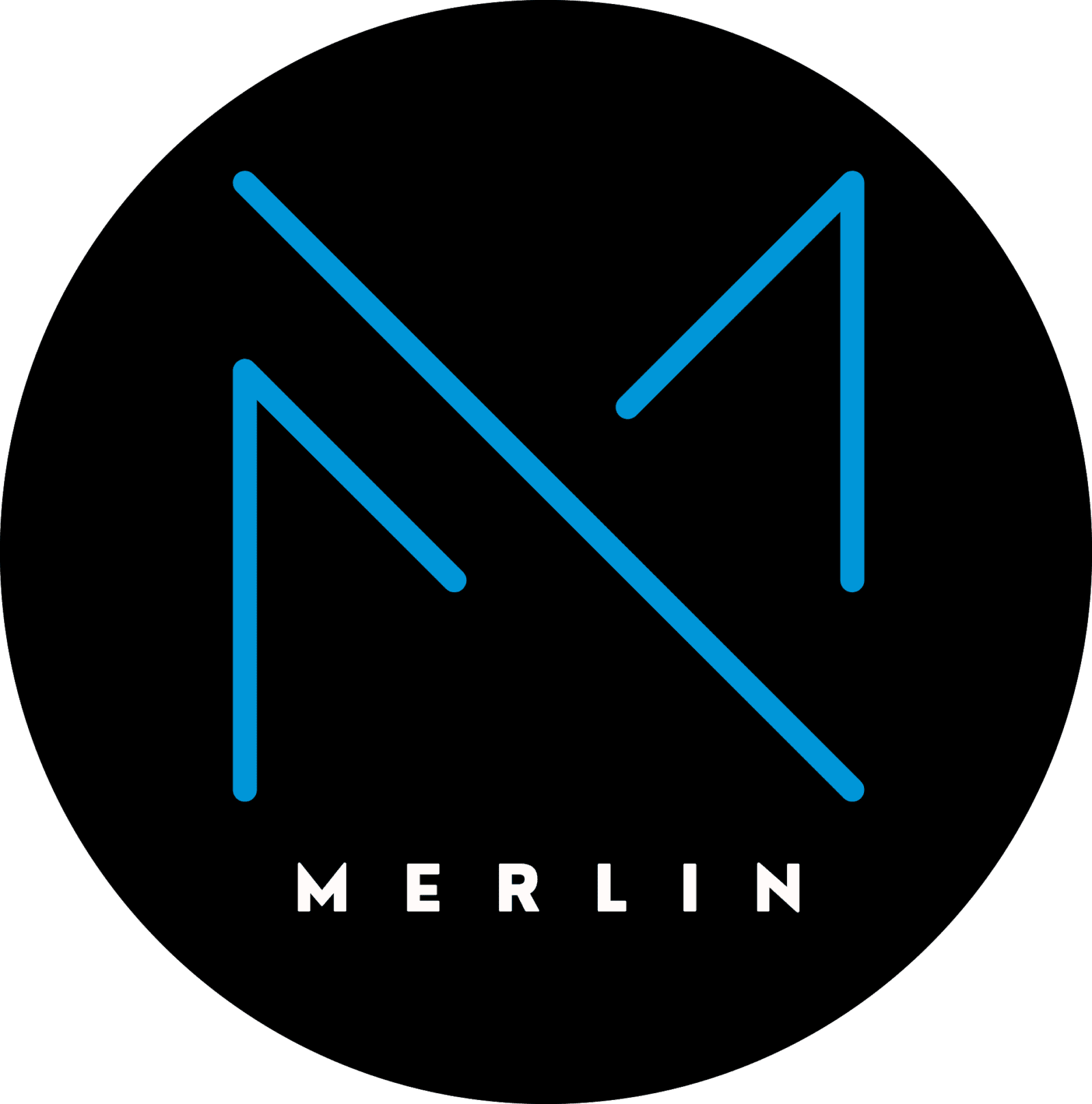 Logo with a stylized blue letter "M" on a black background. The word "MERLIN" is written below in white capital letters.